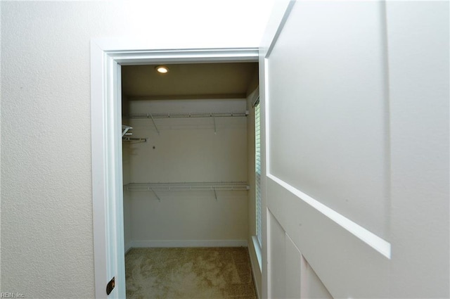 1604 Redwing Arch, Chesapeake, VA 23323 - walk in closet featuring carpet