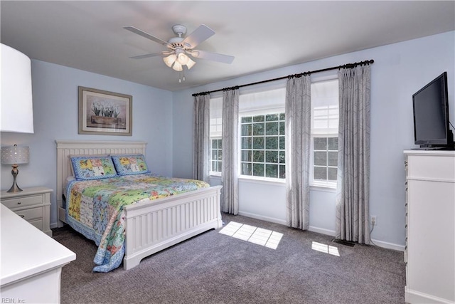 2712 Holly Ridge Ln, Williamsburg, VA 23185 - bedroom with carpet flooring and a ceiling fan