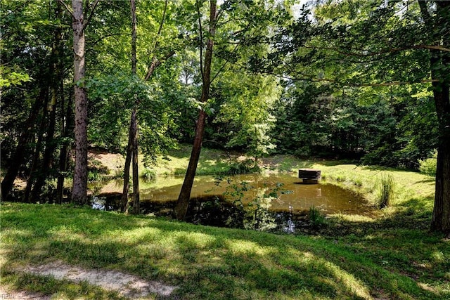 2712 Holly Ridge Ln, Williamsburg, VA 23185 - view of grassy yard with a wooded view