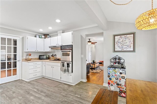 2805 Point Ct, Chesapeake, VA 23321 - kitchen with stainless steel appliances, light wood finished floors, light countertops, under cabinet range hood, and recessed lighting