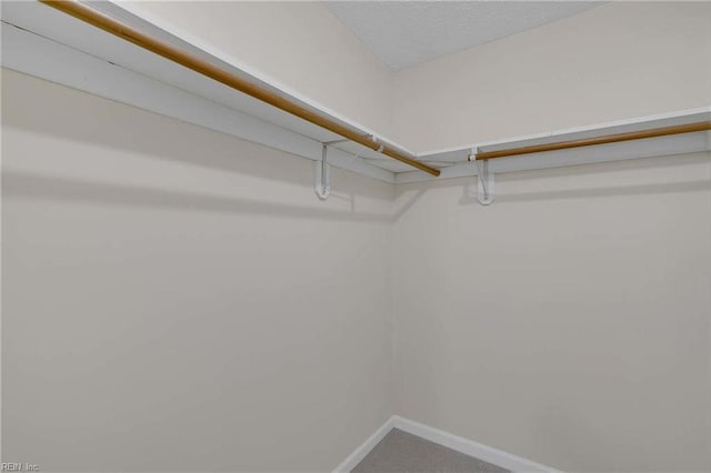 4505 Wimbledon Way, Williamsburg, VA 23188 - view of walk in closet
