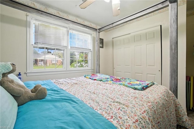 236 Haledon Rd, Chesapeake, VA 23320 - bedroom featuring a closet and a ceiling fan