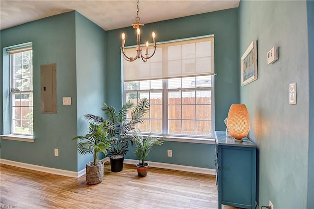 1212 Gunn Hall Dr, Virginia Beach, VA 23454 - living area with a chandelier, wood finished floors, and electric panel