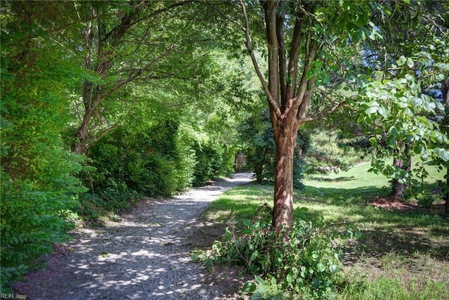 3472 Westham Ln, Toano, VA 23168 - view of road with a view of trees
