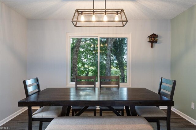 1504 River Creek Cres, Suffolk, VA 23434 - dining space featuring dark wood finished floors and a textured ceiling