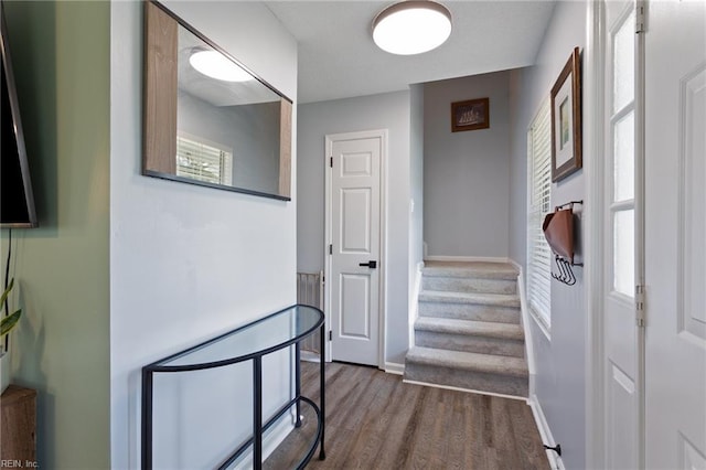 1504 River Creek Cres, Suffolk, VA 23434 - foyer featuring dark wood-style flooring and stairs