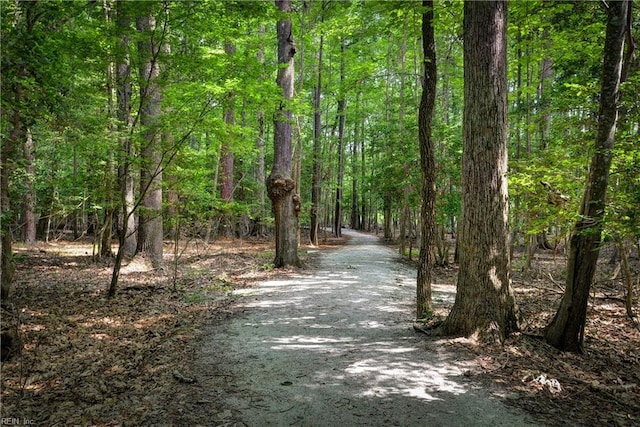 3284 Reades Way, Williamsburg, VA 23185 - view of community featuring a forest view and driveway