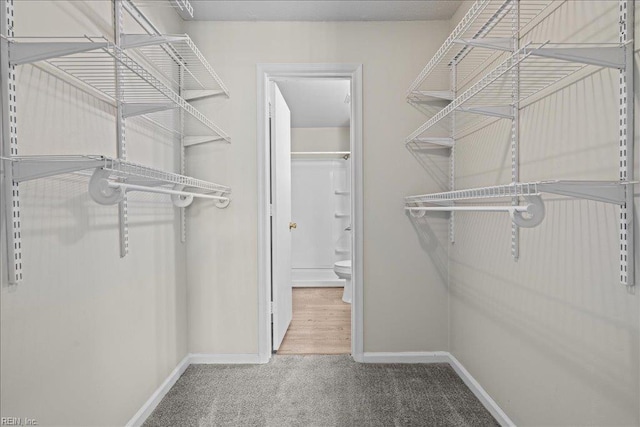 1150 Ocean Pebbles Way, Virginia Beach, VA 23451 - walk in closet featuring carpet