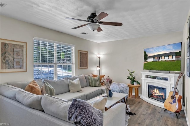 3414 Winterhawk Ct, Chesapeake, VA 23323 - living area with ceiling fan, wood finished floors, and a glass covered fireplace
