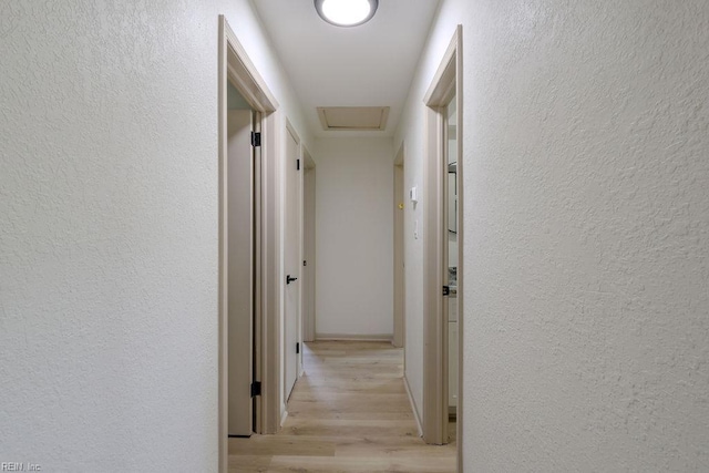 552 Boxwood Ln, Virginia Beach, VA 23452 - corridor featuring a textured wall, light wood-type flooring, and attic access