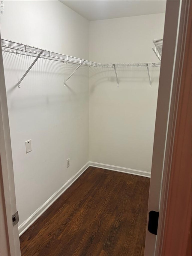 1122 Gatling Dr, Hampton, VA 23666 - walk in closet with dark wood finished floors