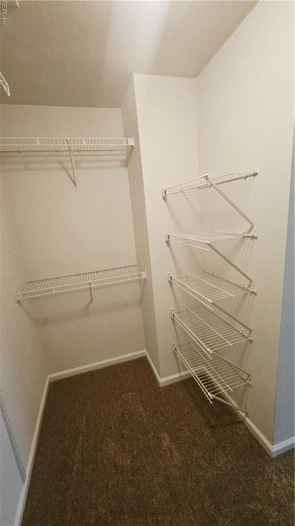 275 Jonathans Way, Suffolk, VA 23434 - spacious closet with carpet flooring
