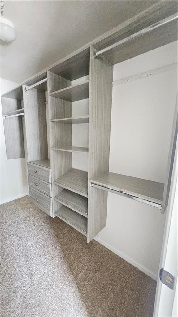 275 Jonathans Way, Suffolk, VA 23434 - spacious closet featuring carpet floors
