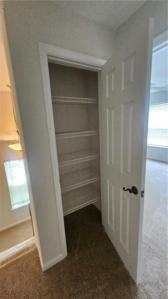 275 Jonathans Way, Suffolk, VA 23434 - view of closet
