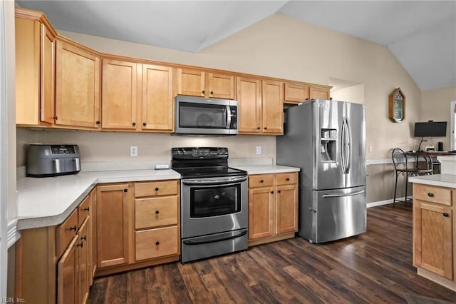 114 Climbing Vine Run, Elizabeth City, NC 27909 - kitchen featuring stainless steel appliances, lofted ceiling, dark wood-style flooring, and light countertops