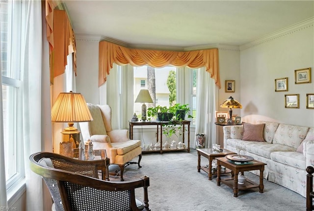 3805 Fleet Ct, Portsmouth, VA 23703 - living room featuring carpet flooring and ornamental molding
