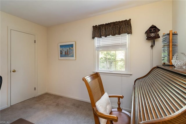 2513 Torrey Pl, Virginia Beach, VA 23454 - living area featuring carpet flooring and baseboards