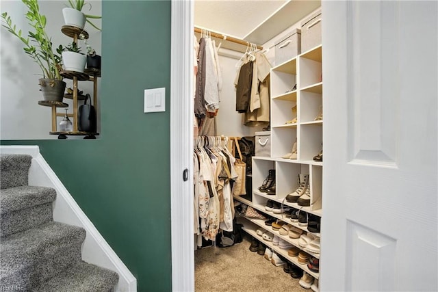 447 Seahorse Run, Chesapeake, VA 23320 - walk in closet with carpet floors