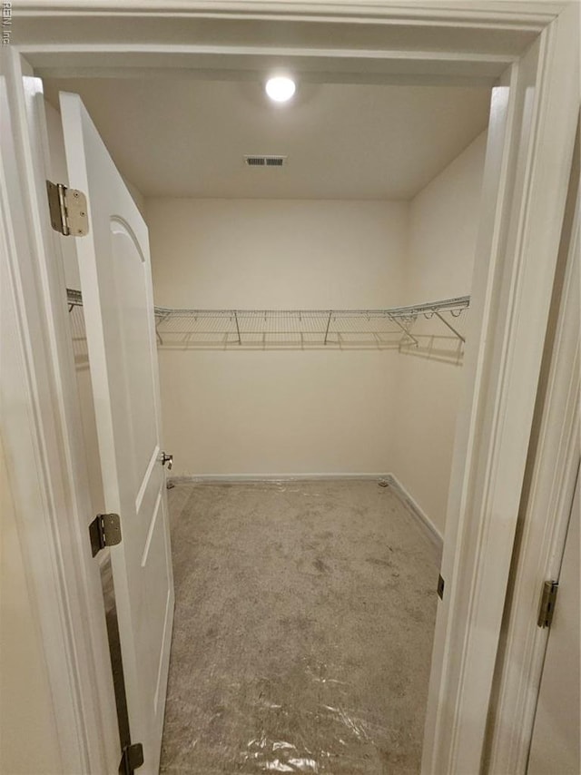 208 St Pauls Ave Unit 30-3, Smithfield, VA 23430 - spacious closet featuring carpet flooring