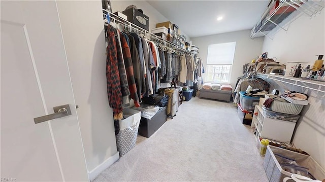 9809 Coral Bells Ct, Toano, VA 23168 - spacious closet with carpet