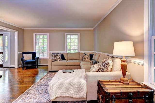 102 Whitehall Ct, Williamsburg, VA 23188 - living area featuring dark wood-style flooring and crown molding