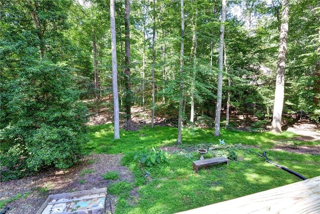 102 Whitehall Ct, Williamsburg, VA 23188 - view of green lawn