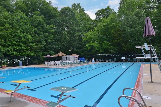 102 Whitehall Ct, Williamsburg, VA 23188 - community pool with a view of trees