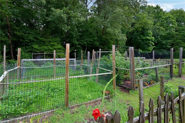102 Whitehall Ct, Williamsburg, VA 23188 - view of yard with a garden