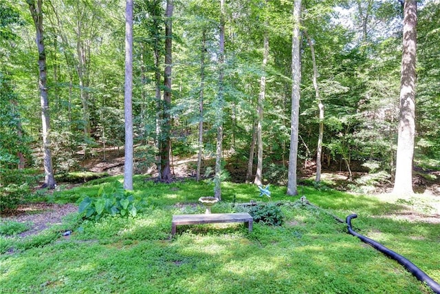 102 Whitehall Ct, Williamsburg, VA 23188 - view of grassy yard with a forest view