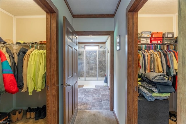 2501 Clancie Rd, Shacklefords, VA 23156 - walk in closet with carpet