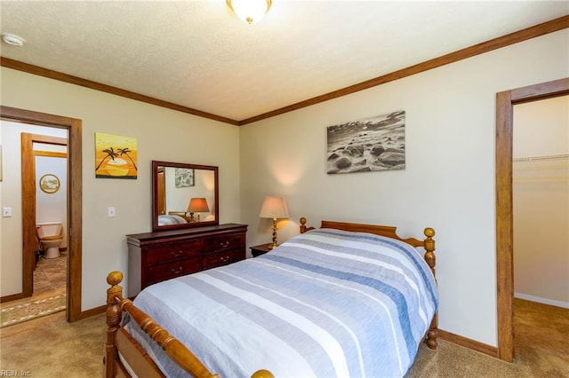 2501 Clancie Rd, Shacklefords, VA 23156 - carpeted bedroom with crown molding, a closet, and a spacious closet