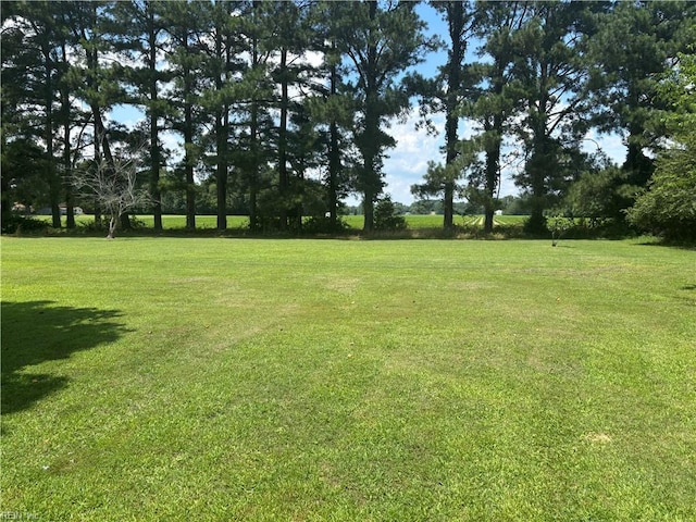 906 Rebecca St, Franklin, VA 23851 - view of grassy yard