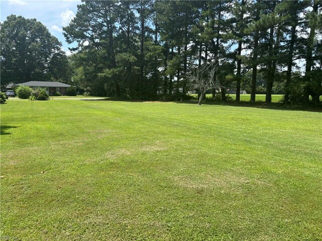 906 Rebecca St, Franklin, VA 23851 - view of green lawn