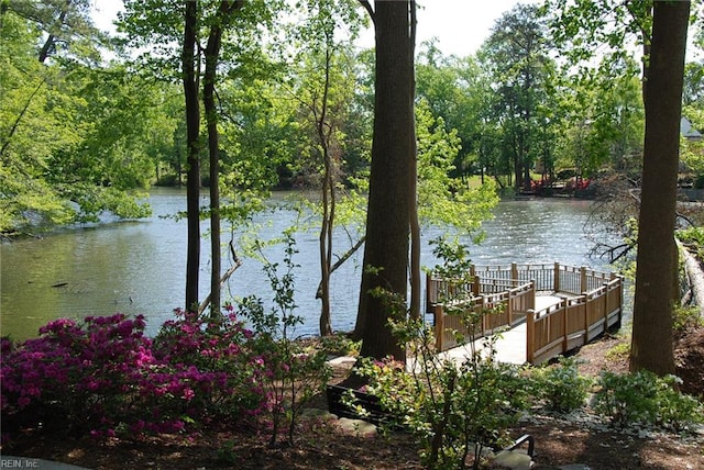 1132 Broadholme Pl Unit 642, Virginia Beach, VA 23455 - water view