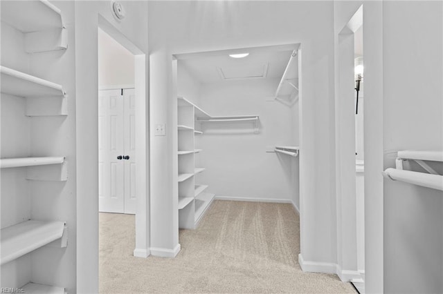 1545 Lake James Dr, Virginia Beach, VA 23464 - walk in closet with carpet floors