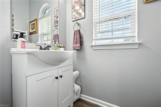 315 Sawmill Arch, Chesapeake, VA 23323 - bathroom with plenty of natural light and vanity