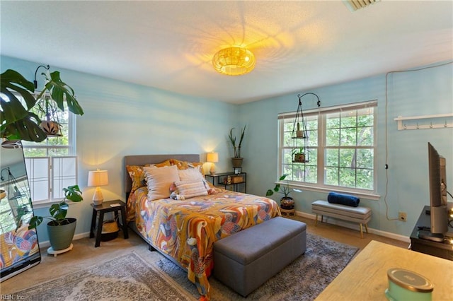 313 River Forest Rd, Virginia Beach, VA 23454 - bedroom featuring multiple windows and carpet