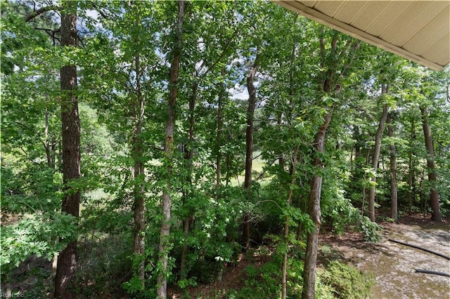 313 River Forest Rd, Virginia Beach, VA 23454 - view of tree filled area