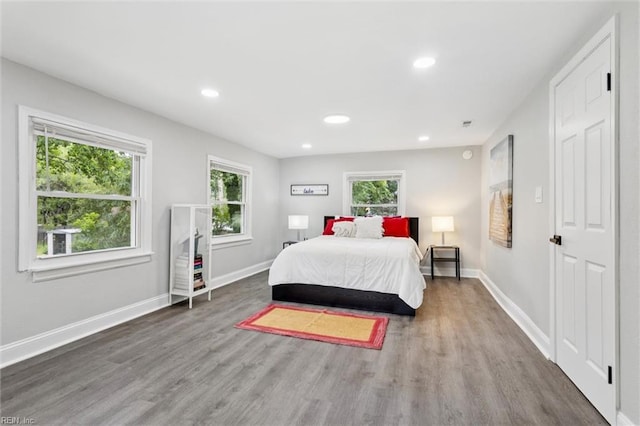 5016 Madeira Rd, Virginia Beach, VA 23455 - bedroom featuring wood finished floors and recessed lighting