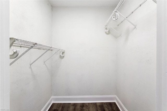 5016 Madeira Rd, Virginia Beach, VA 23455 - walk in closet featuring dark wood finished floors