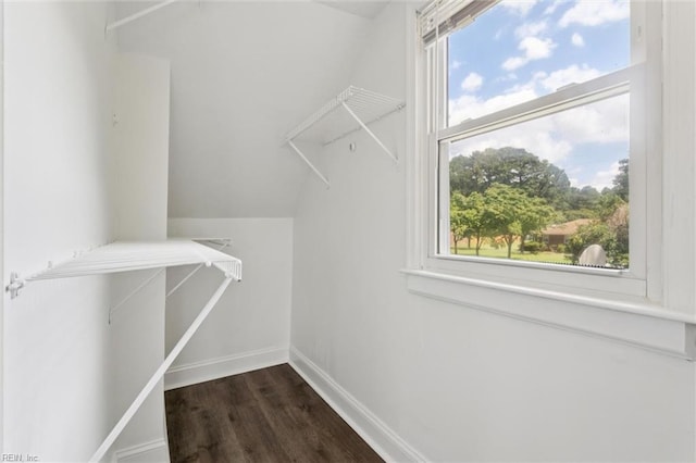 5016 Madeira Rd, Virginia Beach, VA 23455 - walk in closet featuring dark wood finished floors