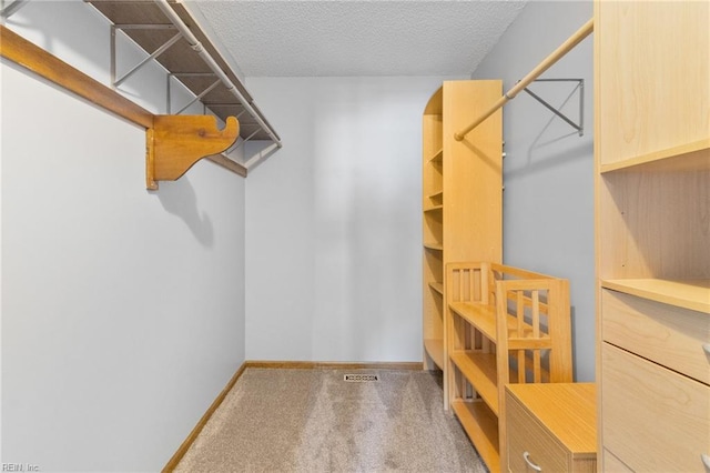 1760 Moonstone Dr, Virginia Beach, VA 23456 - walk in closet with carpet floors