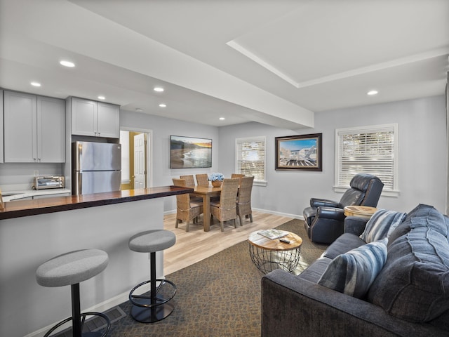 living room featuring a healthy amount of sunlight and light hardwood / wood-style flooring