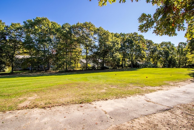 53 Snead Dr, Mashpee, MA 02649 - view of yard