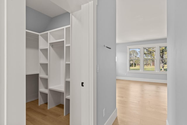 spacious closet featuring light hardwood / wood-style floors