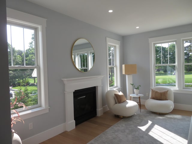 18 Pleasant Park Dr, Mashpee, MA 02649 - sitting room with plenty of natural light, wood finished floors, a fireplace, and recessed lighting