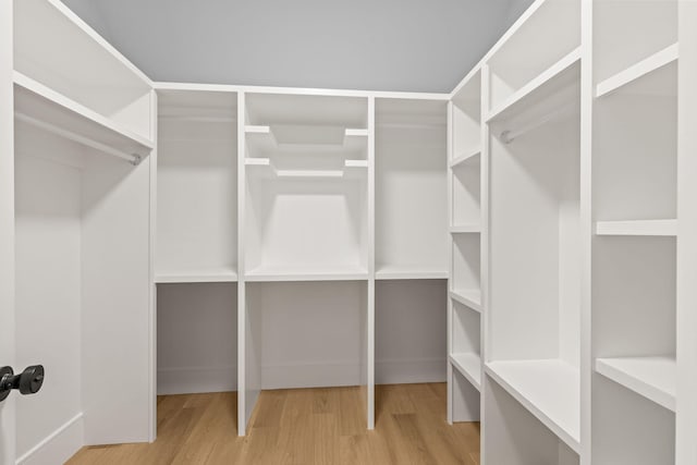 spacious closet featuring hardwood / wood-style flooring