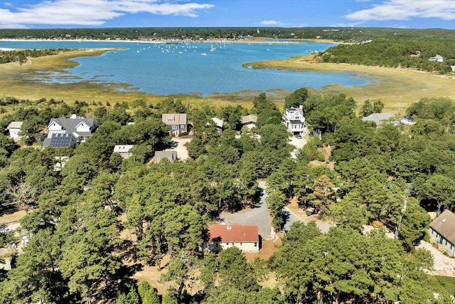 bird's eye view with a view of trees and a water view