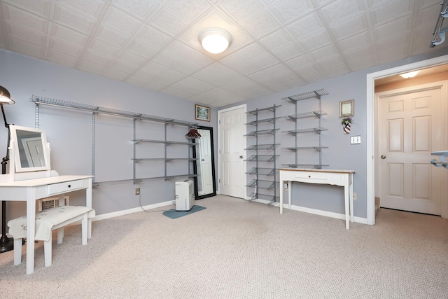 basement featuring carpet floors