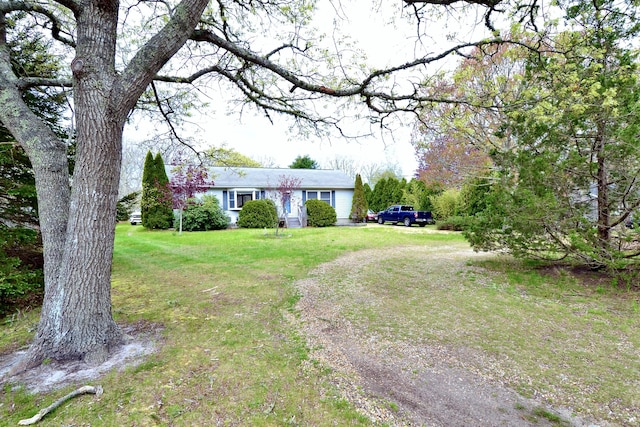 62 Jernegan Ave, Edgartown, MA 02539 - view of green lawn featuring driveway